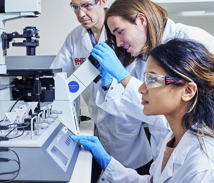 Microvascular Research Group 2022 2 MR