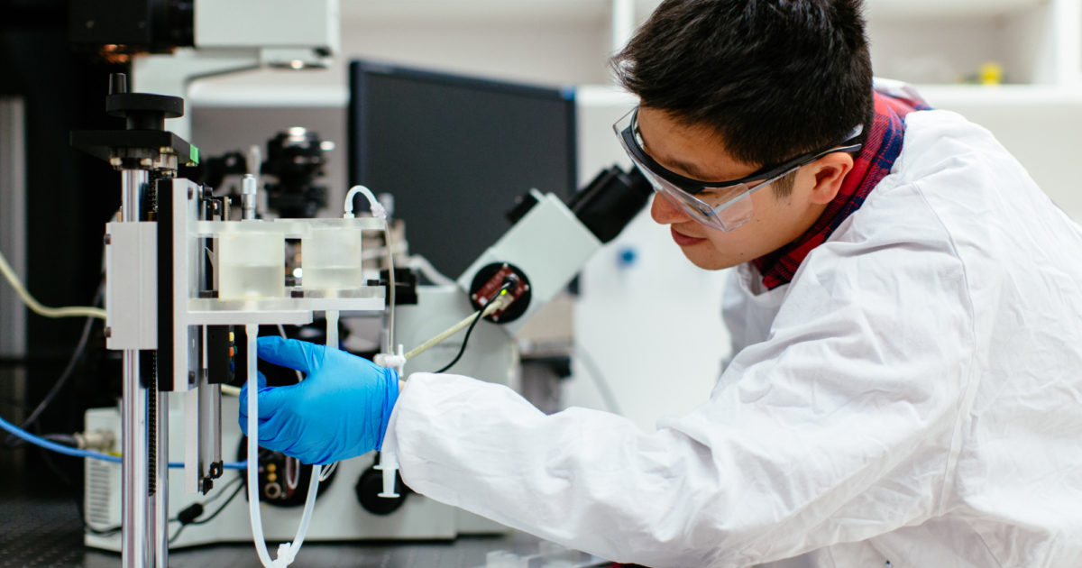 Case study jj cakes 07 picture