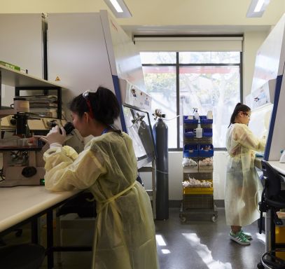 Two-scientists-in-histology