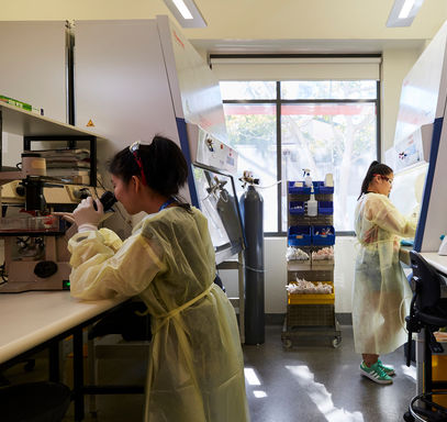 Two-scientists-in-histology